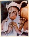 5.gif (138022 bytes)